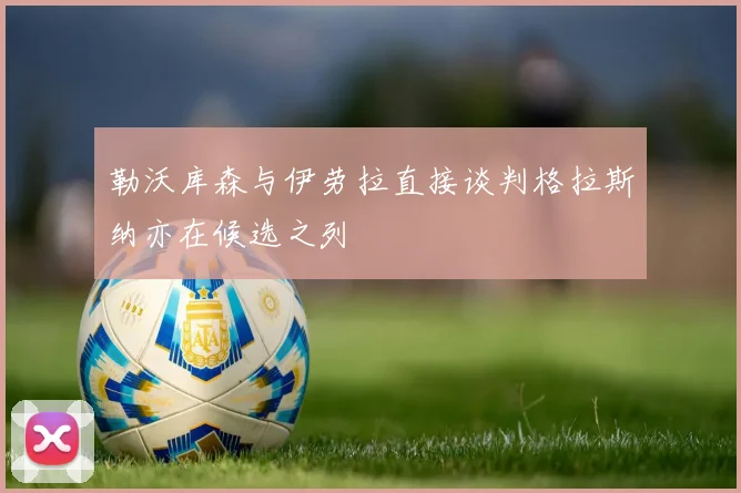 勒沃库森与伊劳拉直接谈判格拉斯纳亦在候选之列
