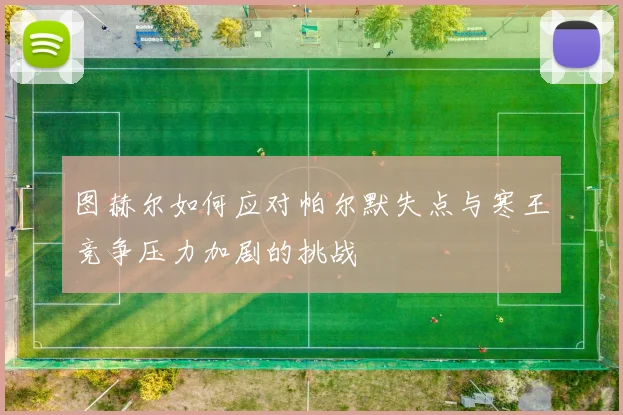 图赫尔如何应对帕尔默失点与寒王竞争压力加剧的挑战